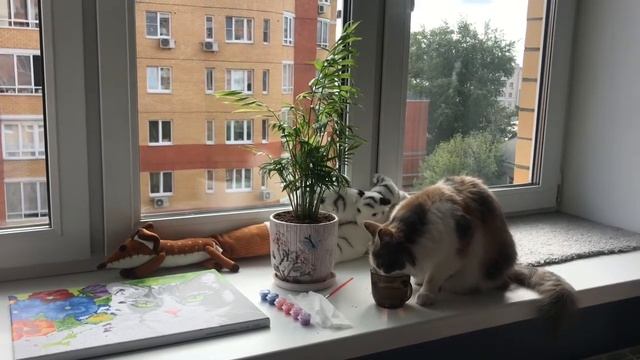 Тишка учится рисовать смотреть онлайн