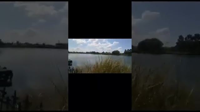 Встреча одноклассников 36 лет после школы /клип от Светланы Перервы смотреть онлайн