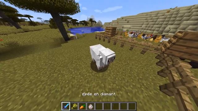Mod animania Minecraft смотреть онлайн