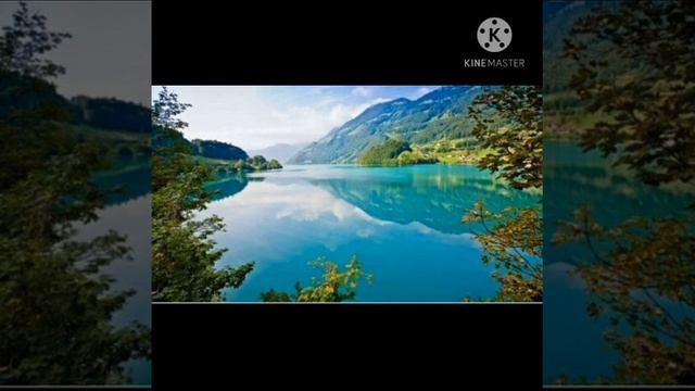 трекер и сильвия,рокки и сильвия,зума и эверест и гонщик и скай для любителей ч.о смотреть онлайн