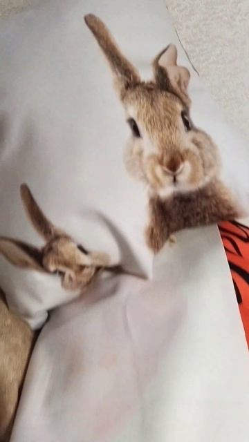 Подушки для любимой женщины смотреть онлайн