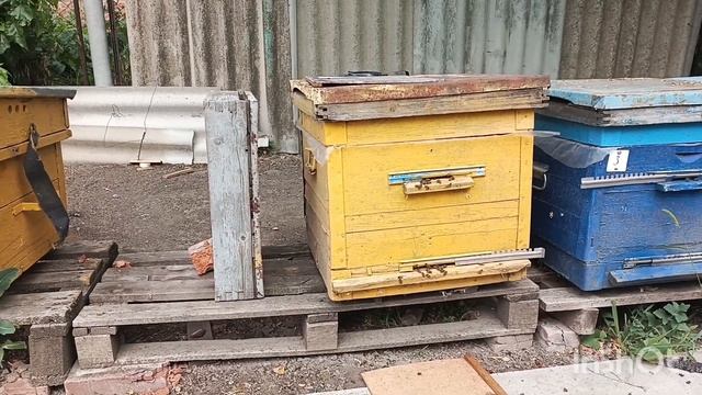 Самый простой способ определить есть матка или нет.