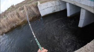 Вода кишит от рыбы.В этой речке полно рыбы.