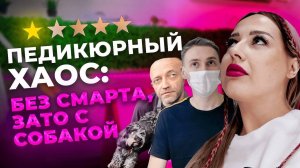ТРЕШ ПЕДИКЮР: Собака на СТАРТЕ, а вместо смарта – ПРОСРОЧКА!