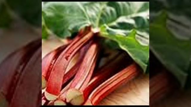 Reventul (Rubarba) - o planta care merita mai multa atentie смотреть онлайн
