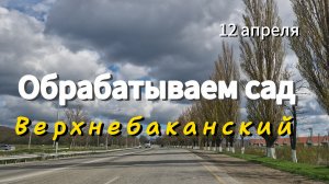 Обрезаем РОЗЫ и ВИНОГРАД. Верхнебаканский.САД на ЮГЕ.