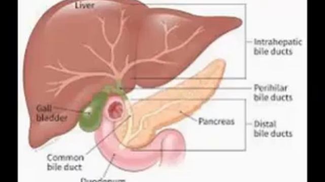 Tamil Acupuncture - அக்குபங்சர் சித்தாந்தம் смотреть онлайн