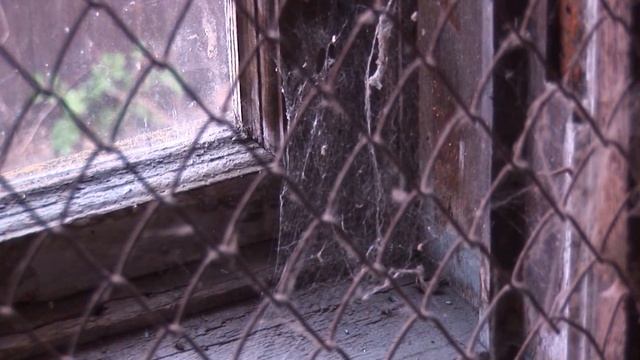 Замок с приведениями смотреть онлайн