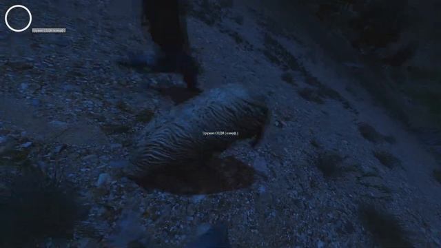 UNT and Овца смотреть онлайн