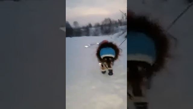 коты AWE ANIMALS😂😂😂 самые интересные животные😁😁😇 смотреть онлайн