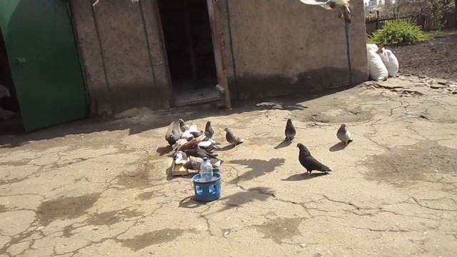 28апреля пос новоэкономическое