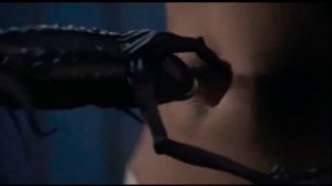 Belly button scourge in reverse(червь вылазиет из пупка девушки)