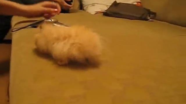 хомочка) смотреть онлайн