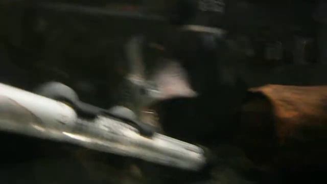 FLOWER HORN 2 смотреть онлайн