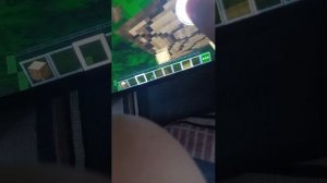 Миша в Майнкрафте