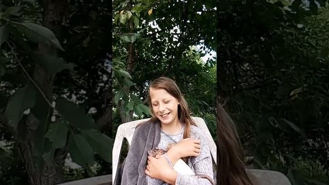 плюсы и минусы крыс + и - 🐭 смотреть онлайн