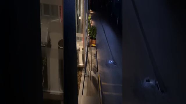 Лахма младший приболел (