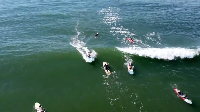 Pelican Island surfers. смотреть онлайн
