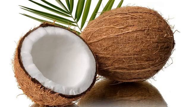 The Coconut Song, Artificial Anime Universe Cover #coconut #thecoconut