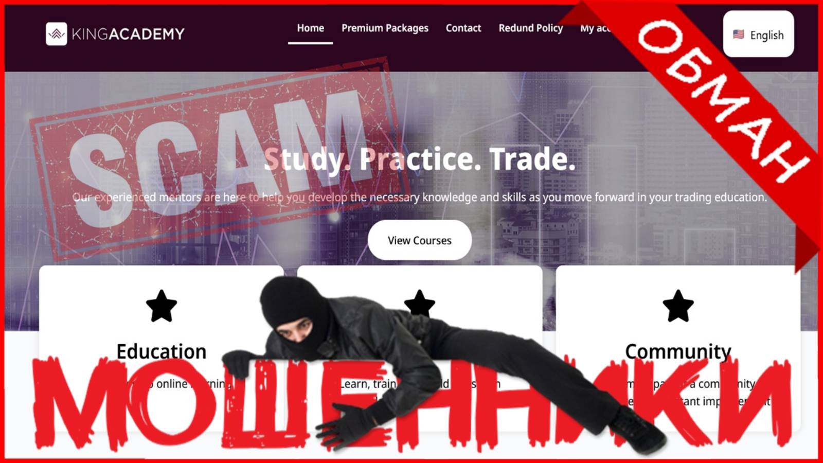 King Academy (king-academy.net, King-academy.online) — ОТЗЫВЫ О САЙТЕ? Мошенник, обман?!