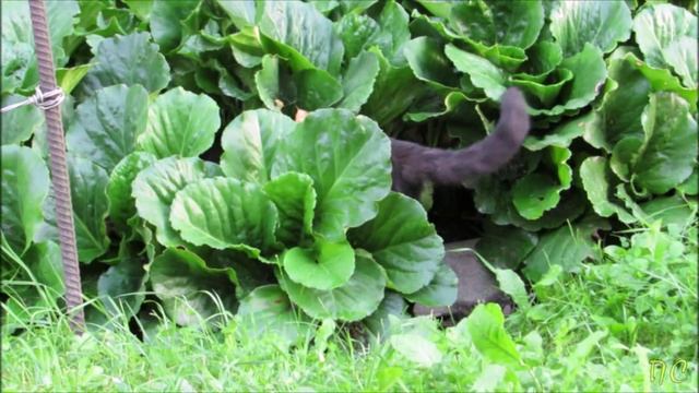 В поисках клада...