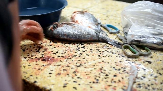 Batumi's Bazar and Fish Market | 🇬🇪Georgia VLOG смотреть онлайн