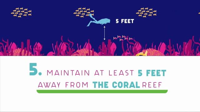 Diving in Cozumel Island, México смотреть онлайн