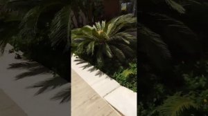 обзор отеля:бора-бора бутик💗3*.Турция, Алания.