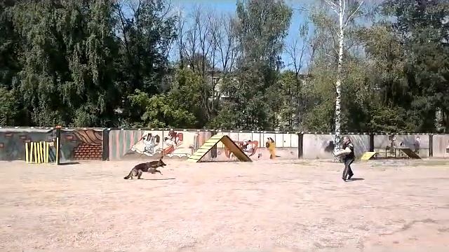 Ирма смотреть онлайн