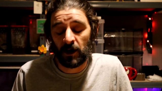 New additions Skinny Legs Tarantulas смотреть онлайн