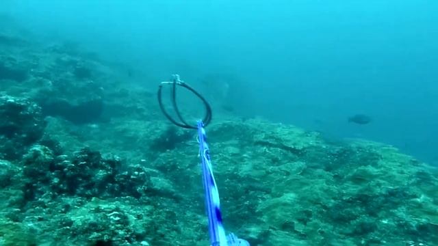 Shooter Shooter Fish Dinner смотреть онлайн