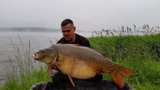 Elektrownia Rybnik karp 26 kg - zasiadka karpiowa - Big carp fish смотреть онлайн