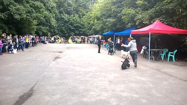 21.06.2014 Kaliningrad "Жемчужина Балтии-2014" ADMIRAL`S SHOU PERFECTION NO LIMIT BIG I смотреть онлайн