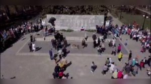 Песня Гвоздика. Минус с видео