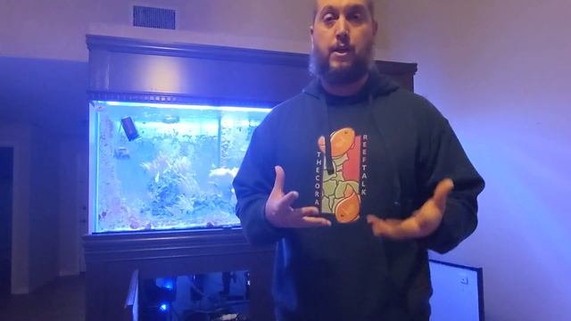 REEF TANK REBIRTH UPDATES AND CHANGES! смотреть онлайн
