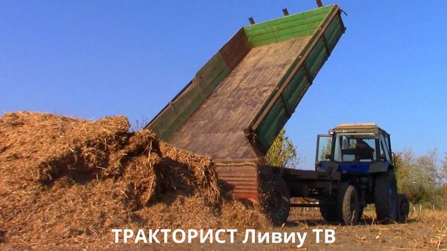 ОСЕННЯЯ ВЫВОЗКА на МТЗ 82 смотреть онлайн