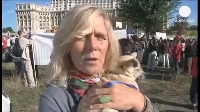 Конституционный суд Румынии поддержал окончательное решение собачьего вопроса смотреть онлайн
