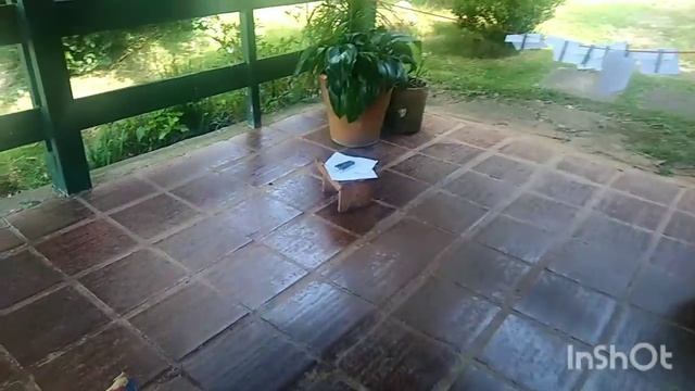 CSCJ-Educação física-Rita 1°ao 4° ano смотреть онлайн