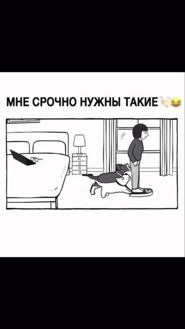 #юмор #домашниеживотные #тренировка #мультик #мультфильм #бег #собака #ставрополь#рекомендации смотреть онлайн