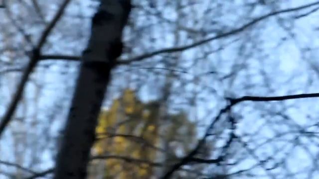Рябчик в мае смотреть онлайн