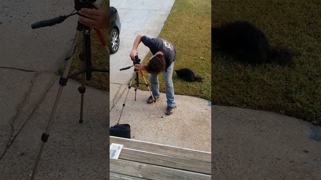 Sean Deegan - 8mm Camera смотреть онлайн