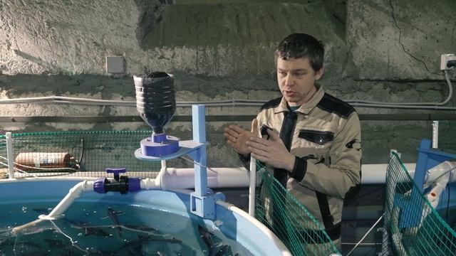 Автоматизация кормления на рыбоводной ферме !!! смотреть онлайн