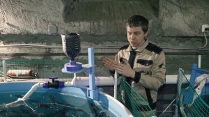 Автоматизация кормления на рыбоводной ферме  !!!