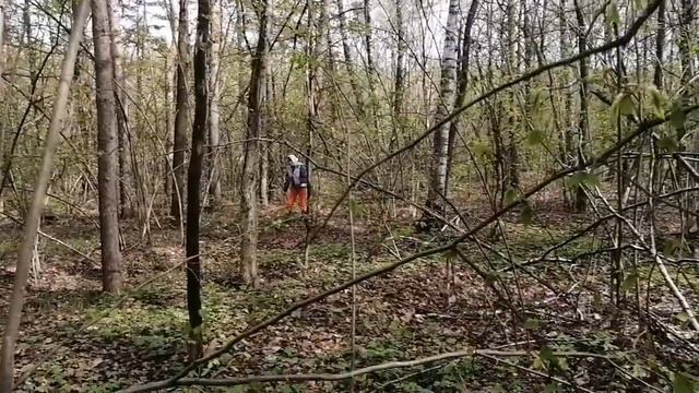 Сморчки которых нет ⛔ смотреть онлайн