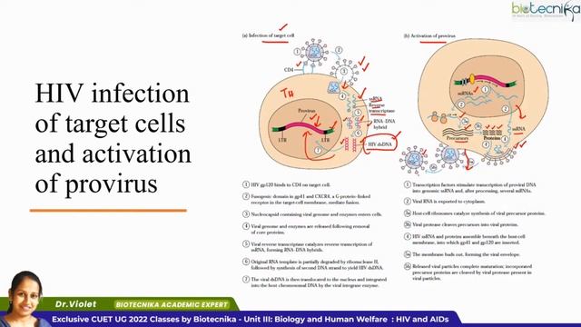 CUET UG Vijeta Series - DAY 7 : Unit III: Biology and Human Welfare : HIV and AIDs смотреть онлайн