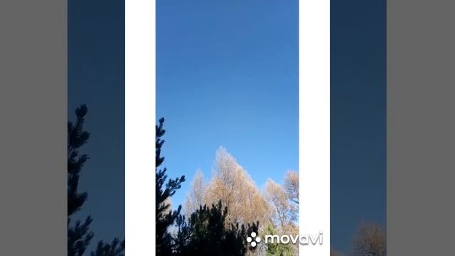 Ново -Узенка....Первая плотина...Хвойная лесопосадка и Сказка... смотреть онлайн