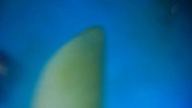 Redmi 10c Rear Camera Not Working Repair 👍👍 смотреть онлайн