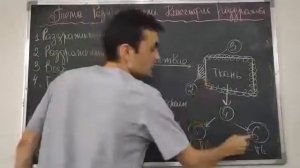 1 НАЧАЛО. ФИЗИОЛОГИЯ ЭТО