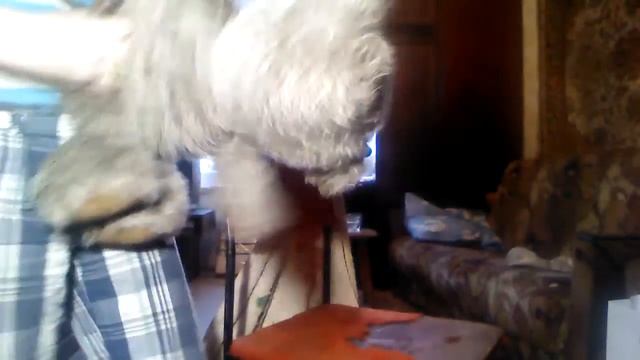 нелепая смерть смотреть онлайн