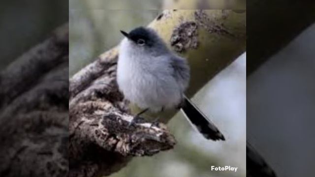 Комароловка.Знаете такую? смотреть онлайн